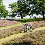 rad-wandern-heide-bispingen