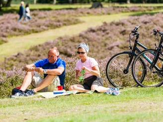 pause-lüneburger-heide-bispingen