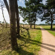 wanderung-heidschnuckenweg