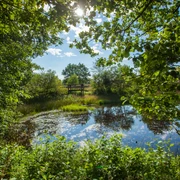 teich-lueneburger-heide