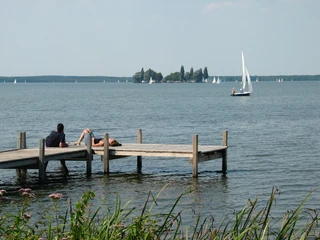 Ein Holzsteg ragt ins Wasser des Steinhuder Meers, umgeben von Kräutern und Segelbooten am Horizont.