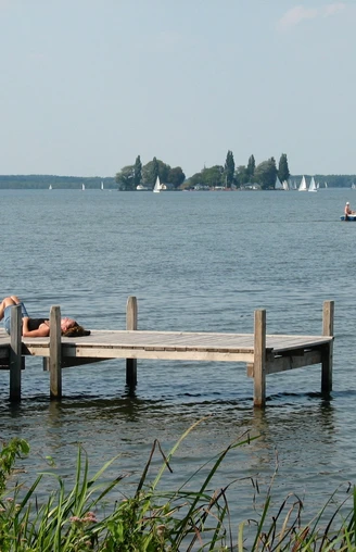 Steinhude Steg Uferpromenade Ein Holzsteg ragt ins Wasser des Steinhuder Meers, umgeben von Kräutern und Segelbooten am Horizont.