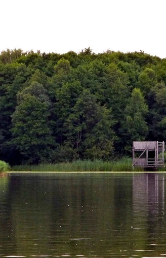 Aussichtsturm Neue Moorhütte Wasserseite Holzturm am ruhigen Seeufer, umgeben von dichtem Wald, mit klarer Wasserspiegelung im Vordergrund.