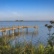 Steg an der Mündung des Hagenburger Kanals  Ein Holzsteg ragt in das ruhige Wasser eines Kanals, umgeben von Schilf und blühenden Pflanzen.