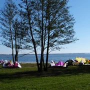 Kitestrand Mardorf Bäume am Kitestrand Mardorf, bunten Kites am nahen Ufer, windige Bedingungen unter blauem Himmel.