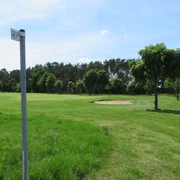 Golfpfad Weitläufiger Golfpfad mit gepflegtem Rasen, umgeben von Bäumen unter klarem blauem Himmel.