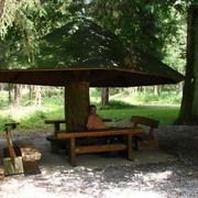 Ein großer Holzpilz bietet Schutz über Tisch und Bänken im schattigen Wald mit ruhiger Atmosphäre.