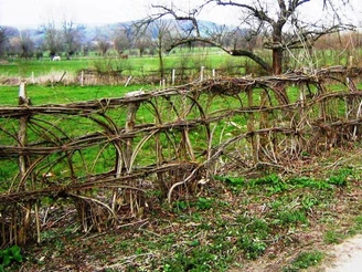 Flechthecke Nieheim Eine kunstvoll geflochtene Hecke aus Weidenruten, die sich wellenförmig entlang eines Feldwegs erstreckt.