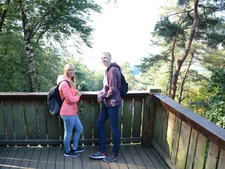 An der Aussichtsplattform an den Dörenther Klippen Zwei Personen stehen auf einer hölzernen Plattform in einem Wald und blicken in die Ferne.