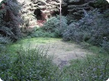 "Weringer Pohl" Lippspringer Wald Eine ruhige, mit Bäumen umsäumte Lichtung im Lippspringer Wald, umgeben von üppigem Grün.