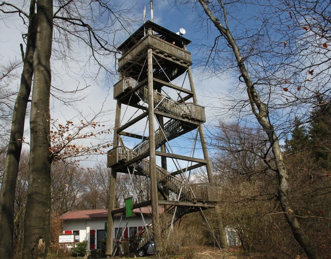 Luisenturm Borgholzhausen Hölzerner Aussichtsturm mit mehreren Plattformen im Wald, eingebettet in eine von Bäumen umgebene Landschaft.