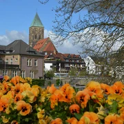Blick auf die Innenstadt Bunte Blumen im Vordergrund, dahinter ein Kirchturm und Gebäude der Innenstadt bei blauem Himmel.