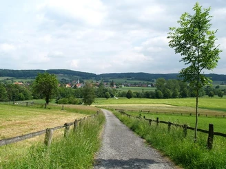 Blick auf Alhausen Ländlicher Weg führt durch grüne Wiesen auf ein Dorf in hügeliger Landschaft mit bewölktem Himmel zu.