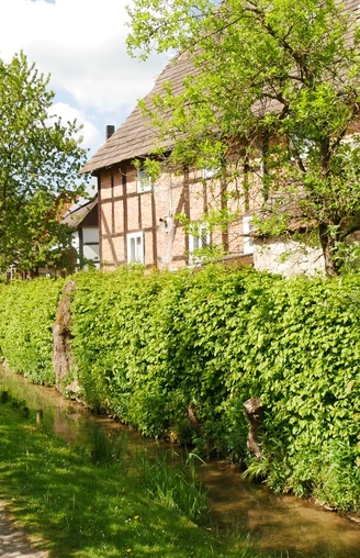 Fachwerkhaus am Mühlengraben Bellersen, flankiert von Hecken und einem grasbewachsenen Pfad.