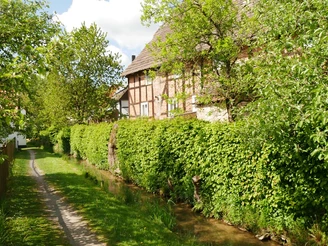 Mühlengraben in Bellersen Fachwerkhaus am Mühlengraben Bellersen, flankiert von Hecken und einem grasbewachsenen Pfad.