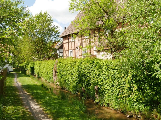 Mühlengraben in Bellersen Fachwerkhaus am Mühlengraben Bellersen, flankiert von Hecken und einem grasbewachsenen Pfad.
