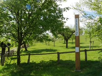 Holzpfahl mit Bibeltexten steht in grüner, hügeliger Landschaft, umgeben von blühenden Bäumen.