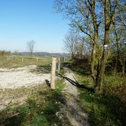 Aussicht vom Kleeberg zur Hochfläche