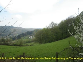 Tal der Berlebecke mit Ruine Falkenburg inmitten der weiten Wälder des Teutoburger Waldes  Ruine Falkenburg thront über grüner Wiese und dichten Wäldern im Tal der Berlebecke, Teutoburger Wald.