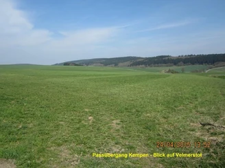 Weite, grüne Wiesen im Eggegebirge mit sanften Hügeln und bewaldeten Höhen im Hintergrund.