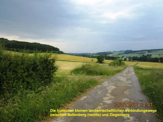 Wirtschaftsweg zwischen Bellenberg und Ziegenberg, gesäumt von Wiesen und sanften Hügeln.
