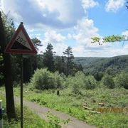 Steiler 20%-Weg im Teutoburger Wald, umgeben von dichtem Grün und bewaldeten Hügeln unter blauem Himmel.