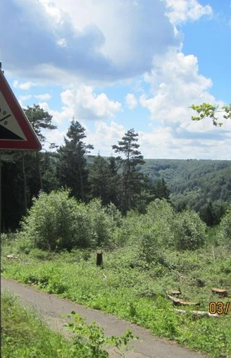 Im wilden Auf und Ab durch die Wälder des Teutoburger Waldes Steiler 20%-Weg im Teutoburger Wald, umgeben von dichtem Grün und bewaldeten Hügeln unter blauem Himmel.