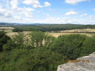 Blick vom Eilenbergturm über dichte Wälder und sanfte Hügel unter einem teils bewölkten Himmel.