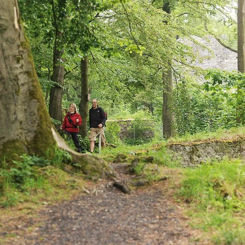Wanderer  Zwei Wanderer spazieren auf einem Waldweg, umgeben von grünen Bäumen und sanfter Natur.