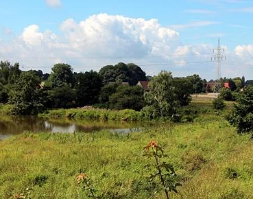 Enger Bruch Grüne Wiese mit kleinem Teich, umgeben von Bäumen und Büschen, Strommast im Hintergrund.