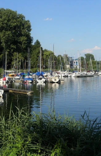Segelboote am Steg Segelboote liegen vertäut an einem Steg eines ruhigen Sees, im Hintergrund sind Bäume sichtbar.