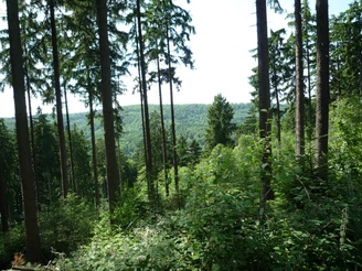Schöne Ausblicke entlang des Weges