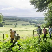 Wanderer Eine Gruppe von fünf Wanderern genießt einen malerischen Ausblick auf eine grüne Hügellandschaft.