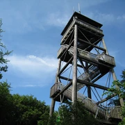 Luisenturm Holzturm inmitten von Bäumen, der sich mit mehreren Etagen gegen einen klaren blauen Himmel erhebt.