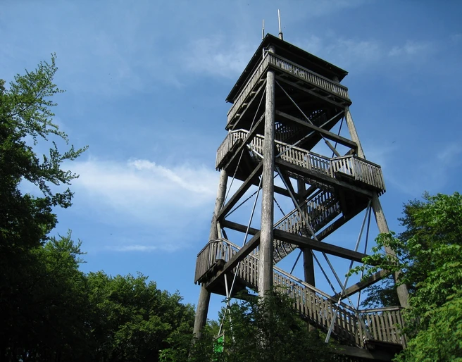 Luisenturm Holzturm inmitten von Bäumen, der sich mit mehreren Etagen gegen einen klaren blauen Himmel erhebt.