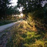 Neuland-Wanderweg