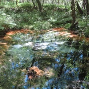 schwindequelle -schwindebeck