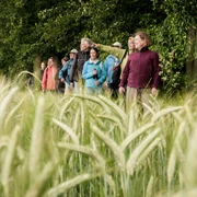 Wandergruppe auf dem 'Weg für Genießer' Wandergruppe auf dem "Weg für Genießer"