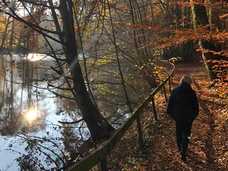 Rundweg No. 3 im Wandergebiet Billkuhle in Berge Eine Person spaziert im Herbst entlang eines baumbestandenen Sees, Sonnenlicht reflektiert.