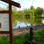 Hinweistafel Fließgewässer Oker