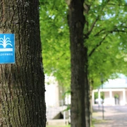 Wegezeichen Bäderweg