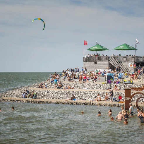 Schimmelreiters Erben