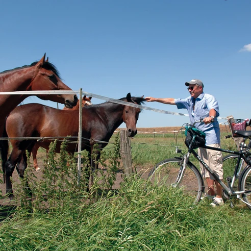 Radtour Schimmelreiters Erben