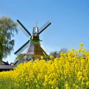 Mühlen in Dithmarschen