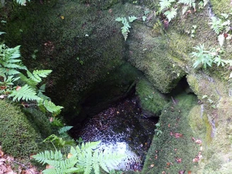Historischer Brunnen an der Stadtwüstung Blankenrode