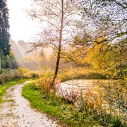 Herbstlicher Waldweg entlang eines kleinen Sees mit leuchtendem Laub und sanftem Sonnenlicht.