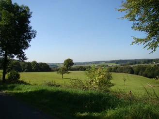 Ausblick am Panoramasteig bei Hochwald Weite grüne Wiesenlandschaft in Waldbröl unter blauem Himmel, vereinzelt Bäume und Wald im Hintergrund.