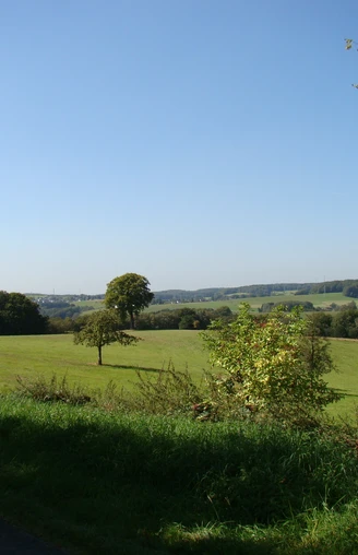 Ausblick am Panoramasteig bei Hochwald Weite grüne Wiesenlandschaft in Waldbröl unter blauem Himmel, vereinzelt Bäume und Wald im Hintergrund.