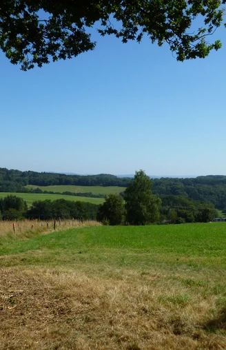 Panoramasteig bei Herfen Ländliche Landschaft mit grünen Wiesen, dichten Wäldern und sanften Hügeln unter klarem Himmel.