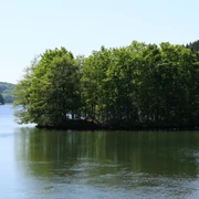Krombacher Insel Insel auf grünem See, umgeben von dichtem Wald unter klarem blauen Himmel. Friedliche Naturkulisse.